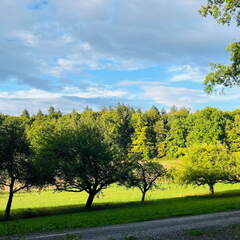 22-09-10 18-10-44 1982